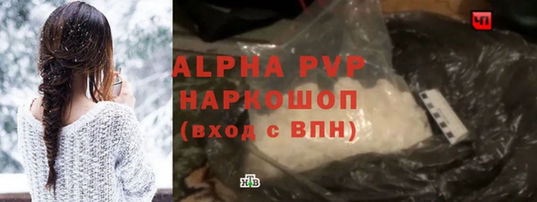 прущие грибы Каменск-Шахтинский
