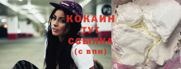 прущие грибы Каменск-Шахтинский