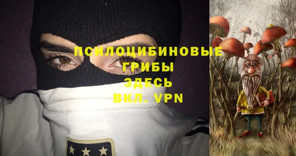 кокс Каменка