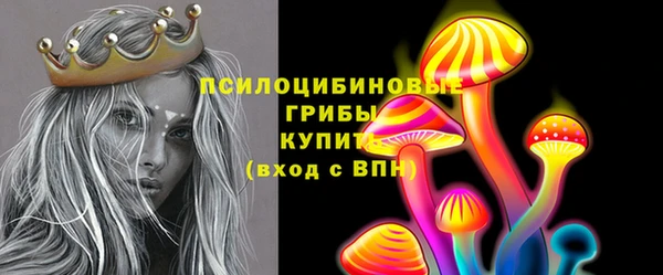 ALPHA PVP Каменногорск
